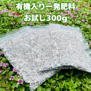 L@ꔭ엿ʍؐp p 300g 100g×3 NsAɂ K7 K5 K3 OhJo[  ǔ