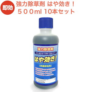   ͂I t 500ml×10{Zbg ő5000đΉ ߃^Cv t  t _knp OzT[g fG͂炷 XMi̋Gɂ ʔ Ɩpɂ