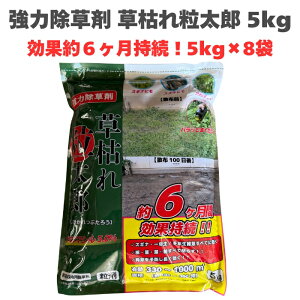    ͂ꗱY 5kg ʖ6 40cm܂őΉ y돈^ Ɩpɂ Uz Uʔ  XMiȂǂ̋Gɂ ^Cv  