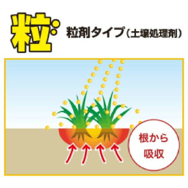 楽天市場】除草剤 強力 粒剤 顆粒 ネコソギメガ 粒剤 7kg 1400m2まで 業務用にも 雑草を長期間抑える除草剤 約6ヶ月持続 レインボー薬品 散布器 散粒器別売り 粒状 ササ ススキ スギナ セイタカアワダチソウ にも効く : クラピア・観葉植物専門店ミドリス 楽天市場】除草剤 強力 粒剤 顆粒 ネコソギメガ 粒剤 7kg 1400m2まで 業務用にも 雑草を長期間抑える除草剤 約6ヶ月持続 レインボー薬品 散布器 散粒器別売り 粒状 ササ ススキ スギナ セイタカアワダチソウ にも効く : クラピア・観葉植物専門店ミドリス