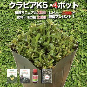 y\TzNsA K5 c4 1ėp Zbg~j SA̓}jAt OhJo[ 4|bg 엿 ͍2iߔ엿Alf[jC_\Eǎ 