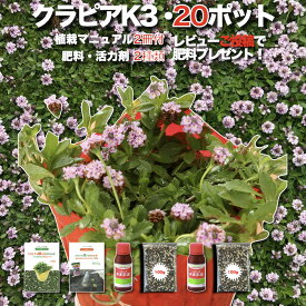 【レビュー特典あり】 クラピア K3 ピンク 新品種 20株 すくすくセット 完全植栽マニュアル付き 苗20ポット 肥料・活力剤計2種 雑草対策 グランドカバー プランツ 植物 ピンクの花 庭 屋上 緑化 耐寒性 多年草 地被植物 ほふく性 下草 背が低い 宿根草