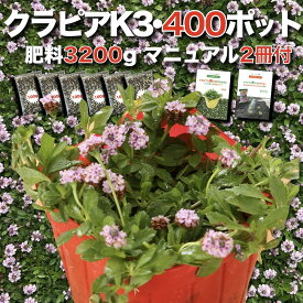 【予約特典あり】 クラピア K3 ピンク品種 9cmポット苗 400鉢セット 有機入り一発果菜肥料3200gと植栽マニュアル付き イワダレソウ改良種 グランドカバー プランツ 植物 ピンクの花 庭 屋上 緑化 耐寒性 多年草 地被植物 ほふく性 下草 背が低い 宿根草 diy