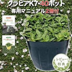 【肥料プレゼント中】 クラピア K7（白） 9cmポット苗 40鉢セット 完全植栽マニュアル付き グランドカバー 植物 イワダレソウ改良種 白品種 白い花 プランツ 庭 屋上 緑化 K5と同程度の耐寒性 多年草 地被植物 ほふく性 下草 背が低い 宿根草 ガーデニング