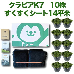 �y���r���[���T����z �N���s�AK7�i���j �|�b�g�c10�� ���������V�[�g14����+J���^�s��100�{�@�엿 ���͍�2��A���S�A�̓}�j���A��2��t�� �N���s�A �ō� �G���΍� �O�����h�J�o�[ �}���`���O