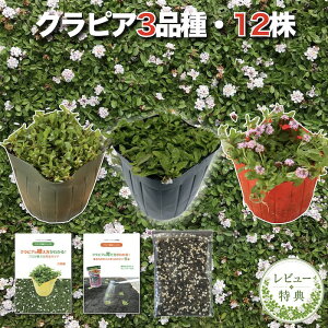�y���r���[���T����z�N���s�A �S�i�킨�����Z�b�g �c12�� K7 K5 K3 �e4�� 3���ėp �A�̓}�j���A���t �O�����h�J�o�[ 12�|�b�g �L�@����ꔭ�ʍؔ엿200g�t �C���_���\�E(���ǎ�) ���F �O�����h