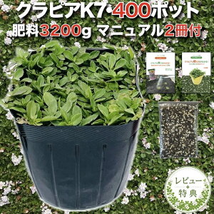 �y�엿�v���[���g���z �N���s�A K7 ���i�� 9cm�|�b�g�c 400���Z�b�g �엿3200g�t�� �A�̓}�j���A���t�� �O�����h�J�o�[ �A�� �v�����c �C���_���\�E���ǎ� ������ �� ����Ή� K5�Ɠ����x�̑ϊ�