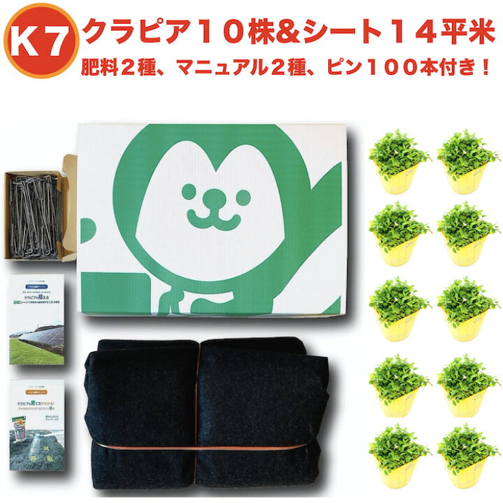 楽天市場 予約特典 レビュー特典あり クラピアk7 白 ポット苗１０株 すくすくシート14平米 J字型ピン100本 肥料２種 完全植栽マニュアル２ 種付き クラピア 芝桜 雑草対策 グランドカバー マルチング ミドリス 楽天市場店
