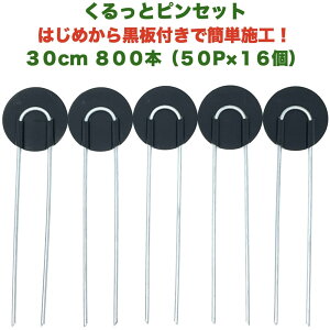 hV[gp ƃs UsY bV[t 30cm 800{ 50P×16Zbg AJ[s  U^ }`  lH V[g s R^  G΍