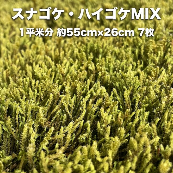 楽天市場】スナゴケ ハイゴケ ハイブリッド 2種ミックス 約1平米分 