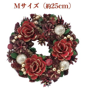 Ԃ̃NX}X[X MTCY 25cm X^ht  k  hA  O i` _ ǖ   킢 ԗ hCt[ v[g Mtg 