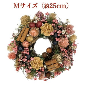 Ԃ̃NX}X[X MTCY 25cm X^ht  k  hA  O i` _ ǖ   킢 ԗ hCt[ v[g Mtg 