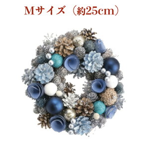 Ԃ̃NX}X[X MTCY 25cm X^ht  k  hA  O i` _ ǖ   킢 ԗ hCt[ v[g Mtg 