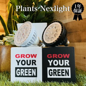 PlantsNEXLIGHT 観葉植物専用育成ライト LED照明 多肉植物 室内