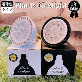 PlantsNEXLIGHT 植物育成ライト 電球色タイプ 観葉植物 多肉植物 LED照明 室内用 室内 屋内 NL-PAR303 おしゃれなインテリア アガベ グラキリス パキポディウム サボテン コーデックス 塊根植物 ガジュマル モンステラ エアプランツなど人気の種類におすすめ