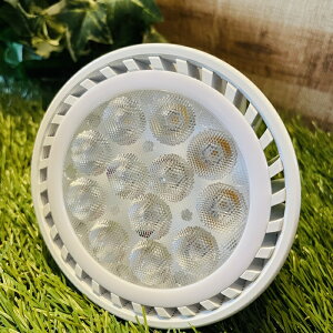 PlantsNEXLIGHT A琬Cg dF^Cv ϗtA A LEDƖ p   NL-PAR303 ȃCeA AKx OLX pL|fBE T{e R[fbNX 򍪐A KW