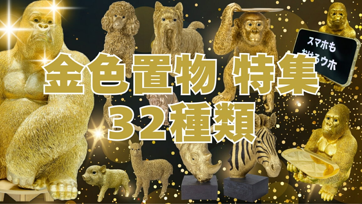 楽天市場 | クラピア・観葉植物専門店ミドリス - 当店おすすめの豪華な 