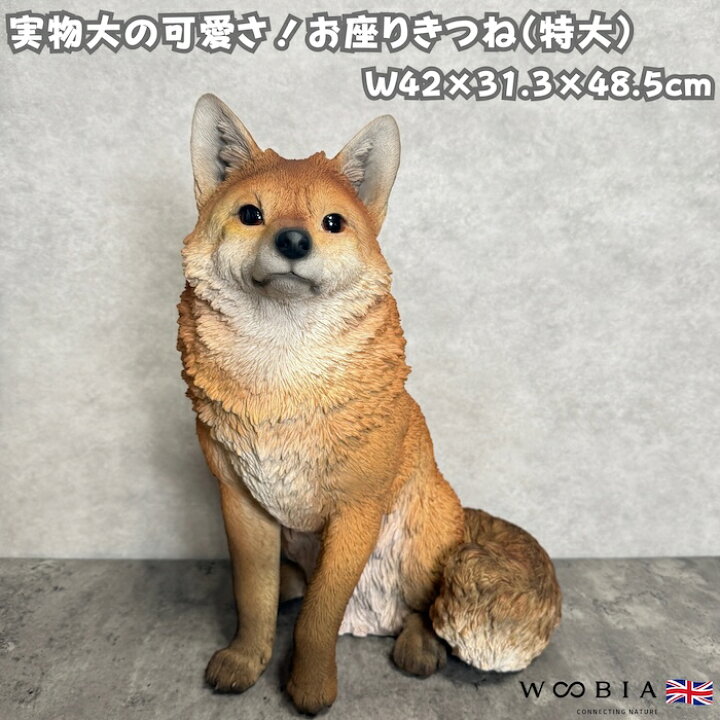 楽天市場】置物 きつね 狐 大きい おしゃれ 玄関 woobia ウービア 高さ 
