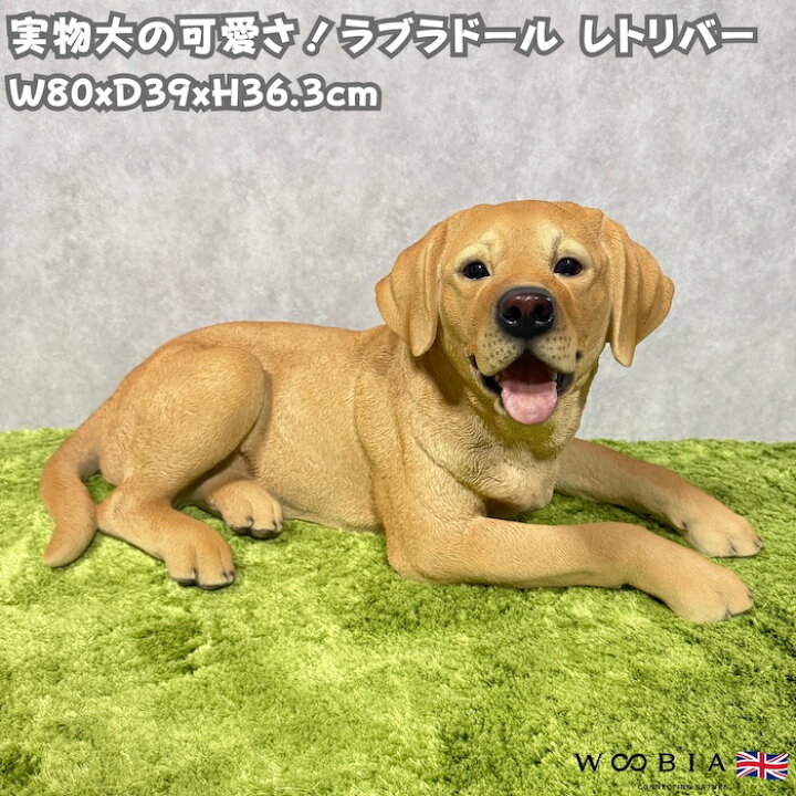 楽天市場】置物 犬 大きい かわいい おしゃれ 玄関 woobia ウービア 