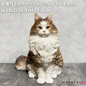 �u�� �L �m���E�F�[�W�����t�H���X�g�L���b�g ������ ����29.5cm WooBia �E�[�r�A �}�X�^�[�Y�G�f�B�V���� ���A�� �傫�� �l�R ���� �L�D�� ������� ���� �C���e���A �I�u�W�F ���� ���� �k�� 