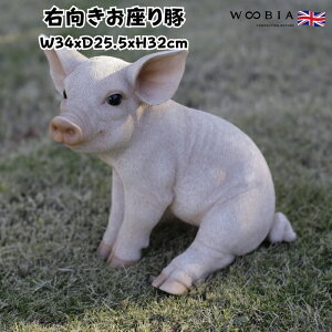 u E u^ObY 32cm woobia E[rA 傫 킢  K[f CeA IuWF  v[g k  G  _ ʔ  Mtg O  