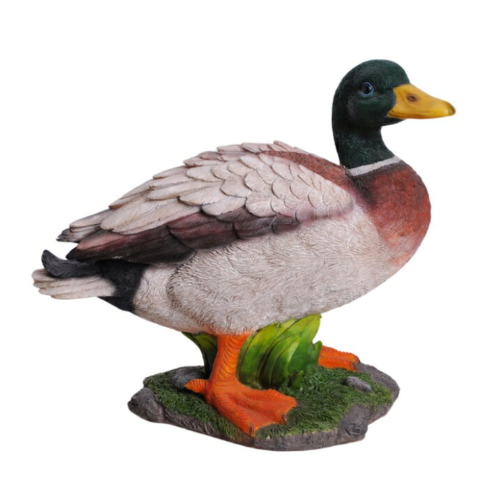 楽天市場】置物 鳥 かわいい オブジェ 北欧 動物 マガモ 大 横幅33cm 