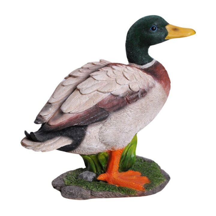楽天市場】置物 鳥 かわいい オブジェ 北欧 動物 マガモ 大 横幅33cm 