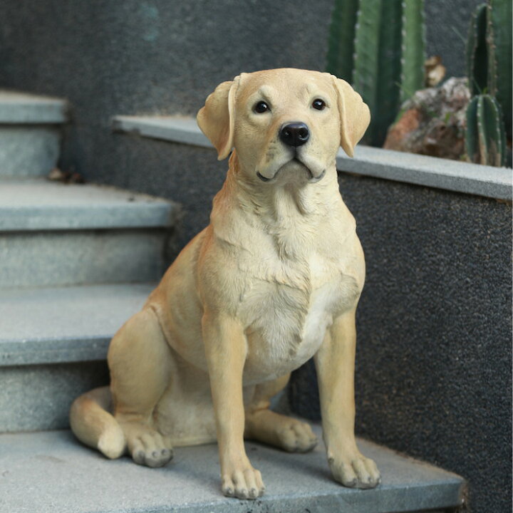 楽天市場】犬 置物 大きい お座りラブラドール・レトリバー 特大 高さ 