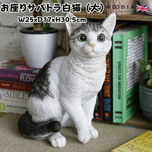 u TogL  lR 30.5cm woobia E[rA 傫 킢  K[f CeA IuWF   v[g k  G  _ ʔ  Mtg 