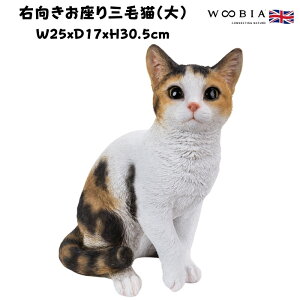 u EOєL  ~PlR 30.5cm woobia E[rA 傫 킢  K[f CeA IuWF  v[g k  G  _ ʔ  Mtg 