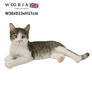 u ɉTogL lR 17cm woobia E[rA 傫 킢  K[f CeA IuWF   v[g k  G  _ ʔ  M
