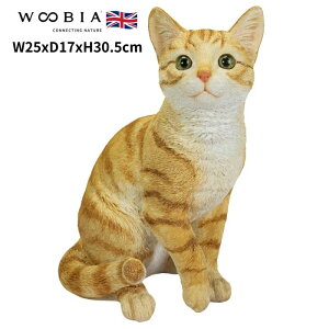 u 蒃gL  lR 30.5cm woobia E[rA 傫 킢  K[f CeA IuWF   v[g k  G  _ ʔ  Mtg O 