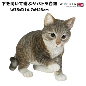 u ėVԃTogL lR 23cm woobia E[rA 傫 킢  K[f CeA IuWF  v[g k  G  _ ʔ  Mtg 