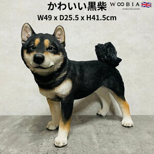 u Ă鍕Č ObY Ck  41.5cm woobia E[rA 傫 킢  K[f CeA IuWF   v[g k  G  _ ʔ  M