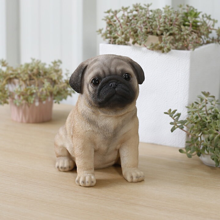 楽天市場】かわいい 犬 置物 高さ19.3cm お座り パグ woobia ウービア 