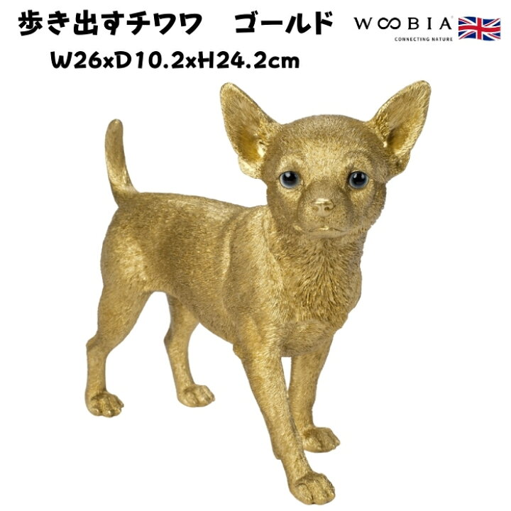 楽天市場】置物 歩き出すチワワ ゴールド 金色 縁起物 高さ24.2cm 