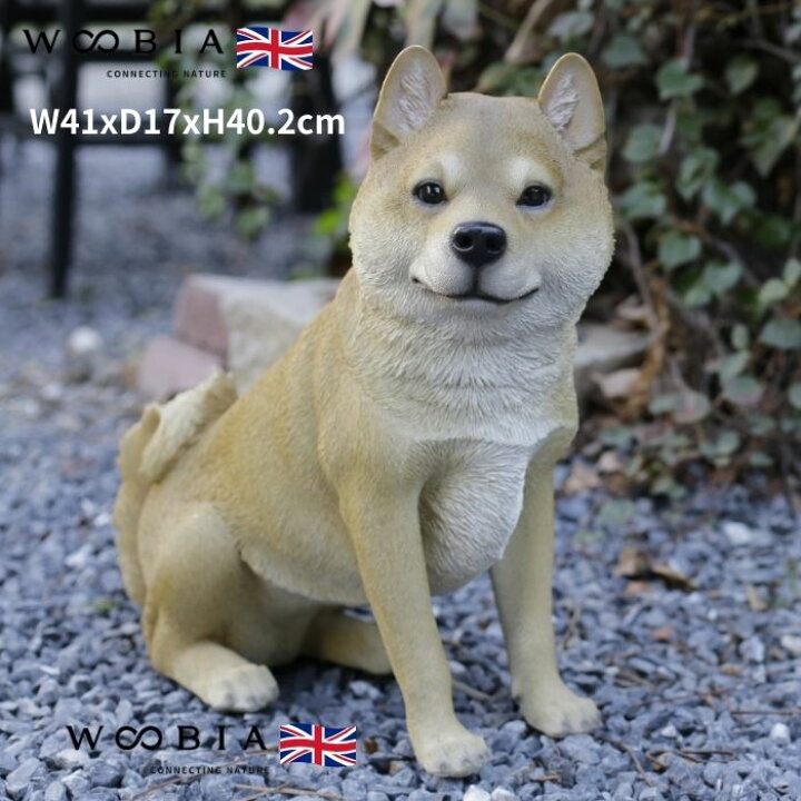 楽天市場】かわいい 犬 置物 お座り柴犬 高さ40cm woobia ウービア 