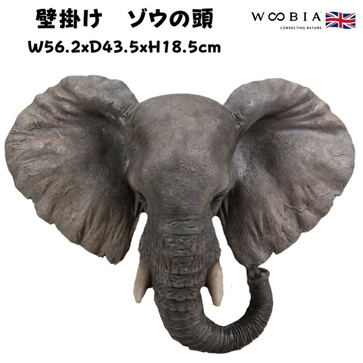 楽天市場】アニマルヘッド壁掛け ゾウ 横幅56.2cm 特大サイズ 象グッズ 