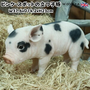 u sNEX|bg̗q u^ObY 23.cm woobia E[rA 傫 킢  K[f CeA IuWF  v[g k  G  _ ʔ  M