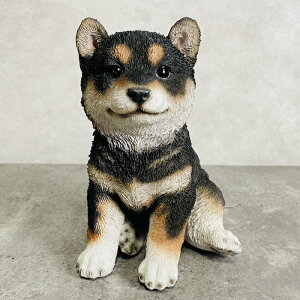 Č u  킢 Ă̎q woobia E[rA Ck  K[f CeA gC IuWF  v[g k  G  _ ʔ  Mtg O  A 