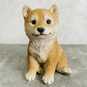 킢 Č ObY u woobia E[rA Ck  K[f CeA gC IuWF  v[g k  G  _ ʔ  Mtg O  A ֐  