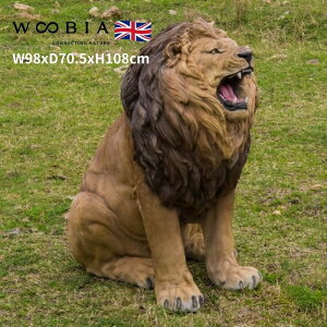 u i郉CI  108cm woobia E[rA 傫 킢  K[f CeA IuWF  v[g k  G  _ ʔ  Mtg O  A 