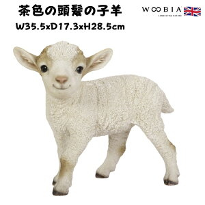 u F̓̎qr ObY 28.5cm woobia E[rA 킢  K[f CeA IuWF  v[g k  G  _ ʔ  Mtg O  A 