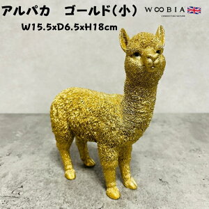 킢u ApJ S[h  woobia E[rA ʔ F̉N  K[f CeA gC IuWF  v[g k  G  _ Mtg O  A