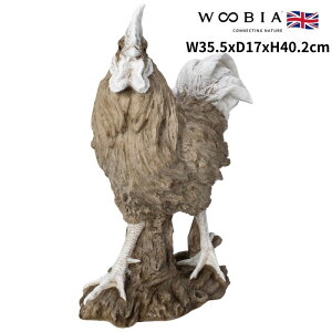 u  킢 IuWF k  AeB[Njg { 40.2cm ^ woobia E[rA 傫  K[f CeA   v[g  G _ ʔ  Mt