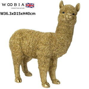 u ApJ S[h  F N 40cm woobia E[rA 傫 킢  K[f CeA IuWF   v[g k  G  _ ʔ  Mt