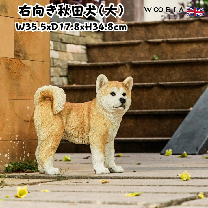 楽天市場】犬 置物 大きい 右向き秋田犬 大 高さ34.8cm woobia 