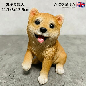 킢̒u グ邨Č ObY woobia E[rA Ck  K[f CeA gC IuWF  v[g k  G  _ ʔ  Mtg O  