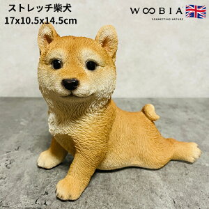 킢̒u Xgb`Č ObY woobia E[rA Ck  K[f CeA gC IuWF  v[g k  G  _ ʔ  Mtg O  A