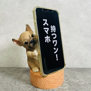 X}zX^h t`EuhbO woobia E[rA  Ck   Aj} X}zz_[  v[g Mtg 蕨 u  A Aj}IuWF CeA 